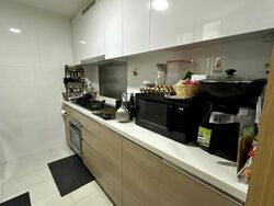 Boathouse Residences (D19), Condominium #474916661